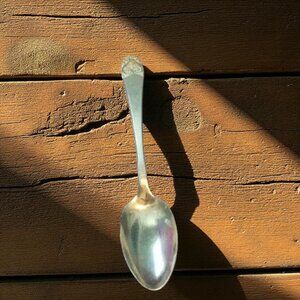 Victor Co. Silver Plated Demitasse Spoon